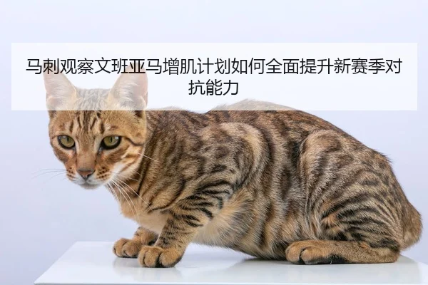 马刺观察文班亚马增肌计划如何全面提升新赛季对抗能力 | aoko