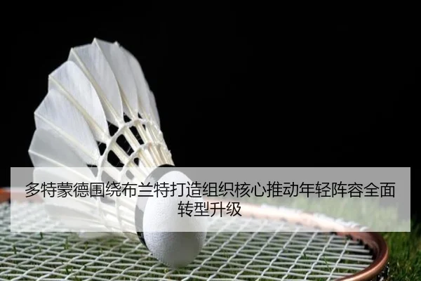多特蒙德围绕布兰特打造组织核心推动年轻阵容全面转型升级 | aoko